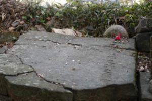 釈迦庵の庭にある仏足石の写真