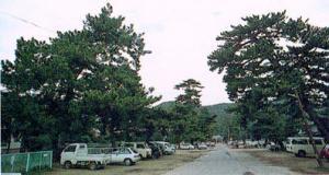 千代の松原の写真