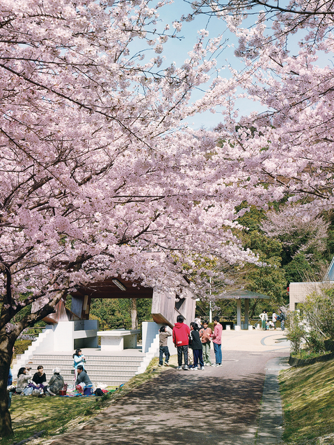 日峯山頂サブ2.jpg