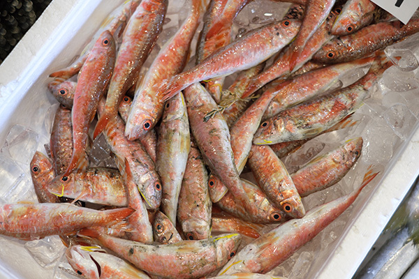 新鮮な小松島産の魚介類2